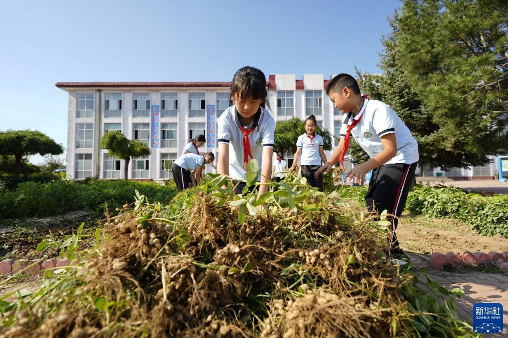 微信斗牛小程序